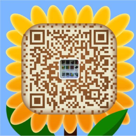 13908183706 手机扫一扫